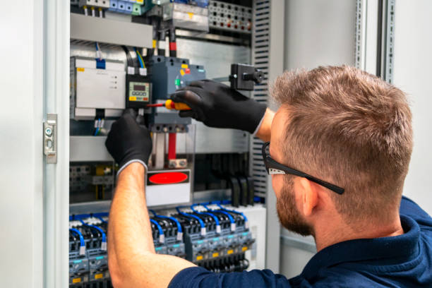 Best Electrical Panel Upgrades  in Griswold, IA